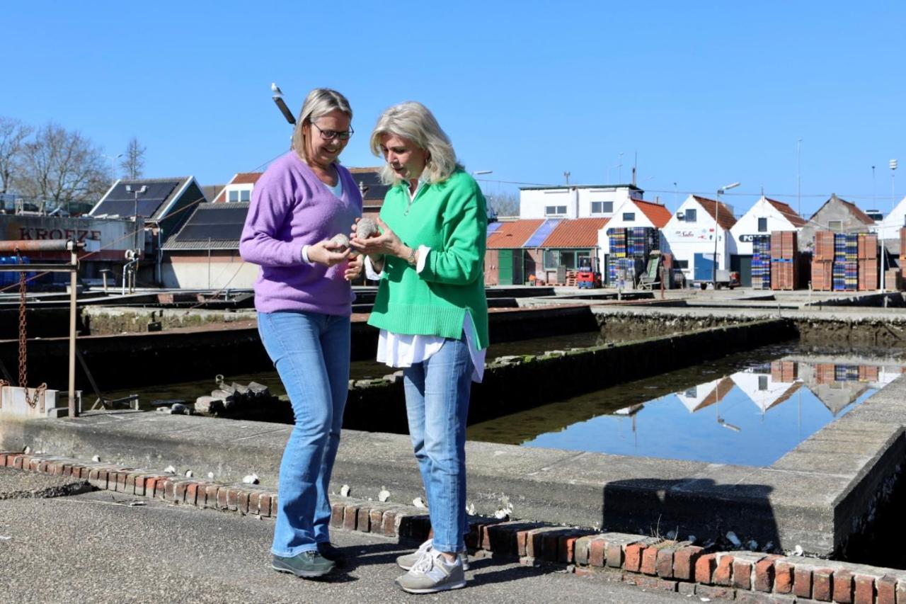 ウェーメルディンゲ Middensluis 7ヴィラ エクステリア 写真