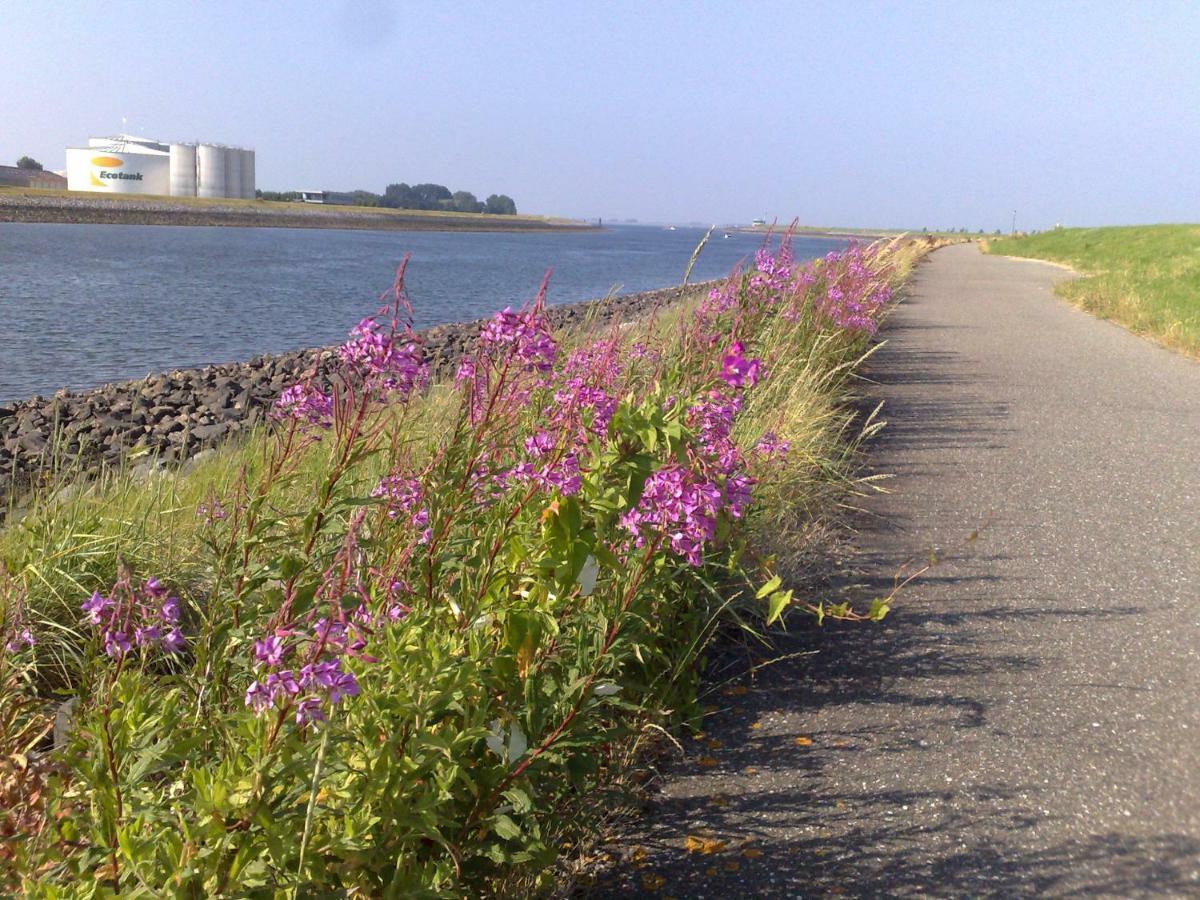 ウェーメルディンゲ Middensluis 7ヴィラ エクステリア 写真